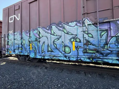 DWC794569