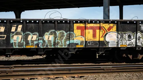 GNTX296076