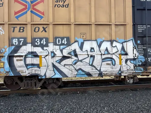 TBOX673404