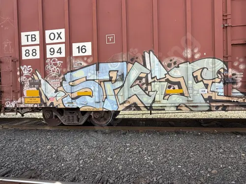 TBOX889416