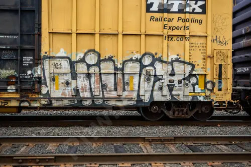 FBOX502093