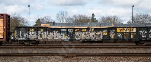 GNTX295116