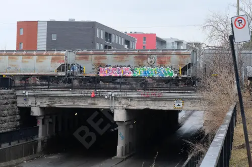 SOO119133