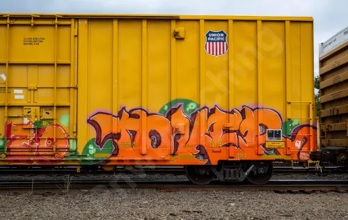 UP700886