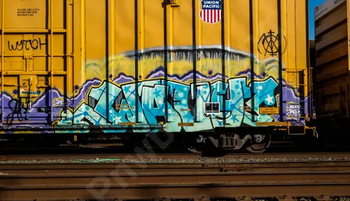 UP700009