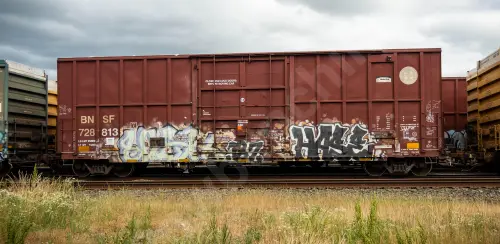 BNSF728813