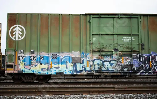 IBT18495