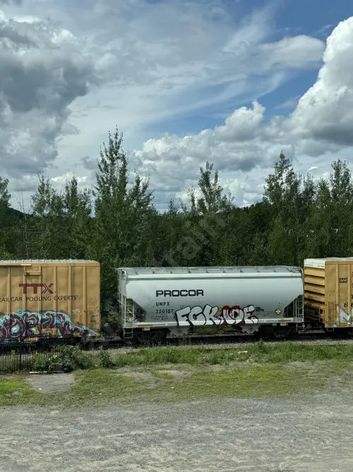 UNPX320107