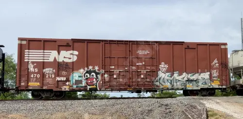 NS470219
