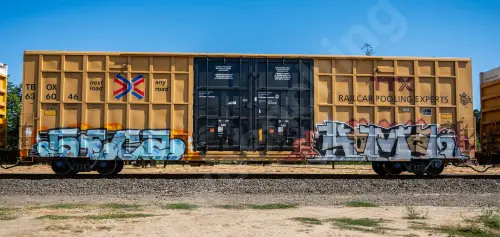 TBOX636046