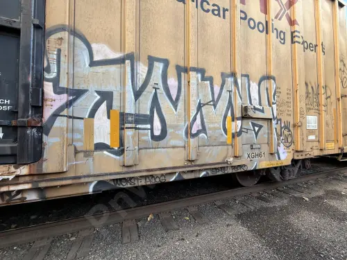 TBOX662079