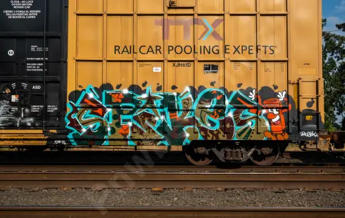 TBOX676525