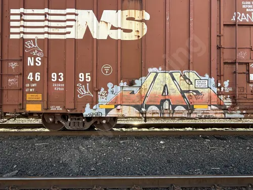 NS469395