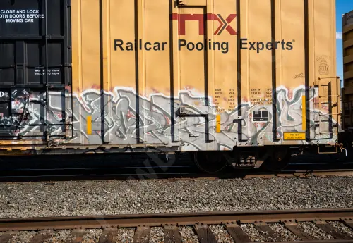 TBOX663377