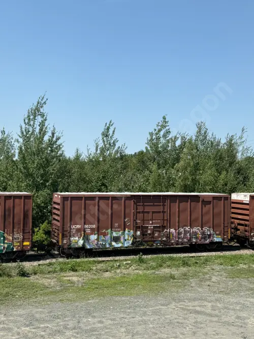 UCRY86208