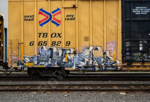 TBOX665829