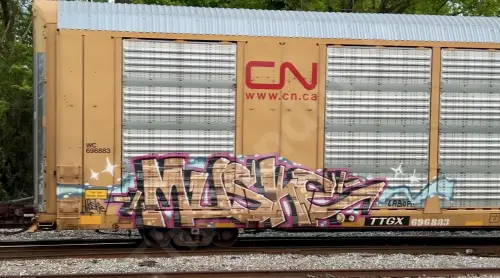 Train photo