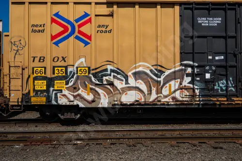 TBOX663559