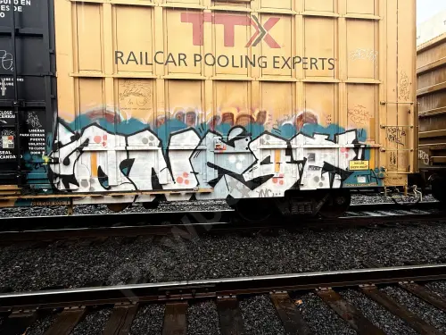 TBOX672969