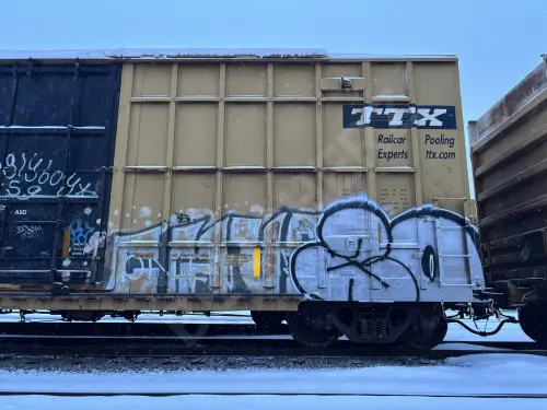 FBOX504375