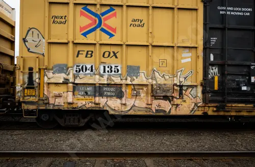 FBOX504135