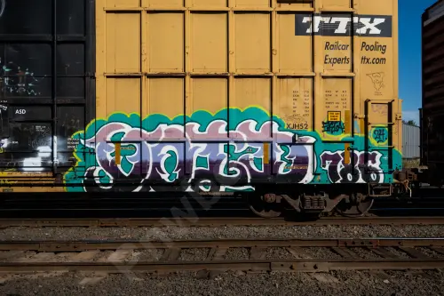 FBOX504368