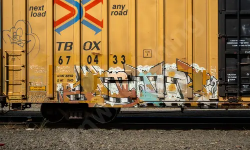 TBOX670433