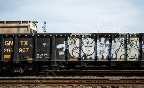 GNTX295967