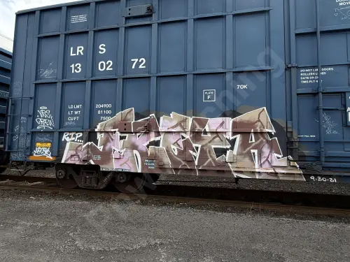LRS130272