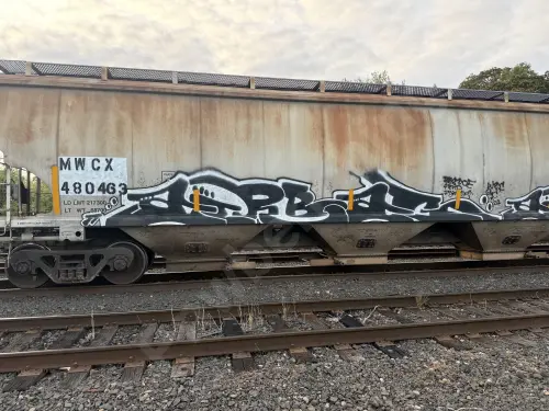 MWCX480463