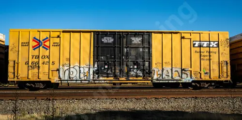 TBOX666425