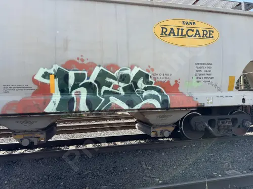 DNAX585033
