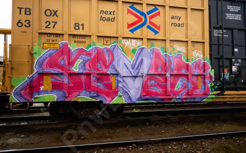 TBOX632781