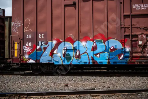 AERC6005