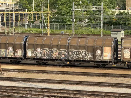 Train photo
