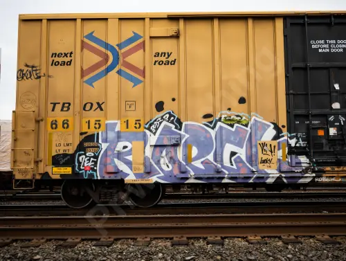 TBOX661515