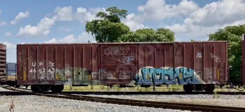 UP466243