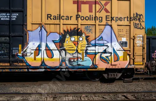 FBOX506356