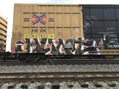 FBOX505875