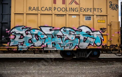 TBOX636026
