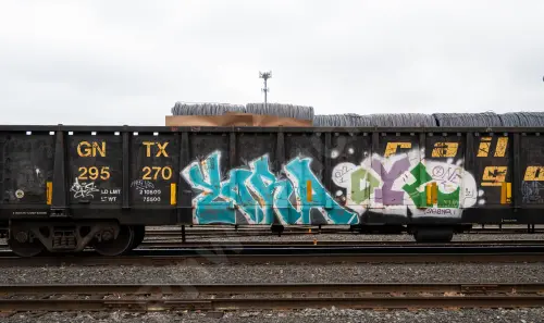 GNTX295270