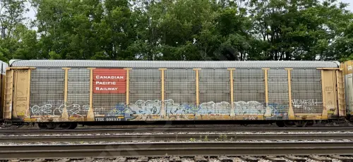TTGX996333