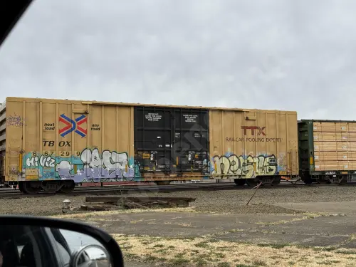 TBOX667299