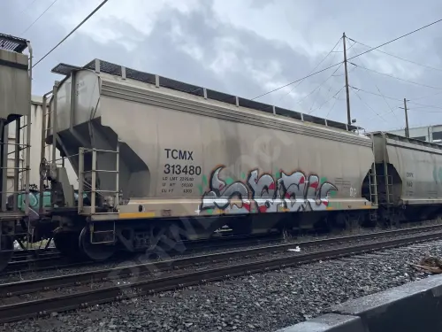 Train photo
