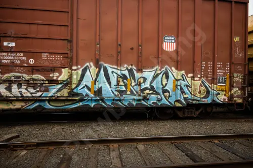 UP369161