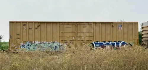UP700385