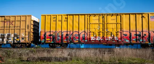 UP700303