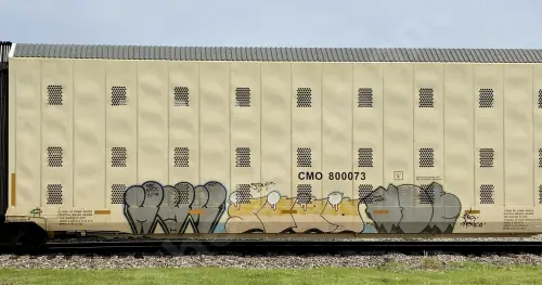 CMO800073