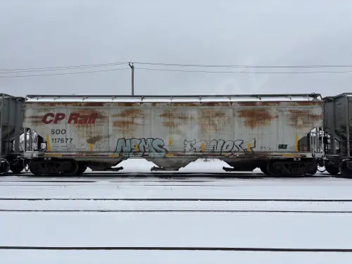 SOO117677