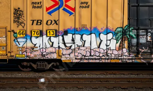 TBOX667613